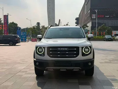 2021 Haval Big Dog 1.5T DCT 2WD Border Collie Edition, фото 2, лот 11089085