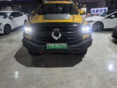 2025 Great Wall Shanhaipao Hi4-T Hi4-T Performance Edition, фото 2, лот 11253220