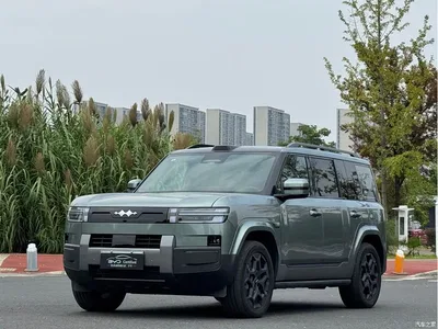 2025 Byd Titanium 7 AWD Base Model, фото 1, лот 10822348