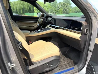 2025 Geely Xingyue L Oriental Glory 2.0TD Automatic Star Collector Edition, фото 4, лот 10302467