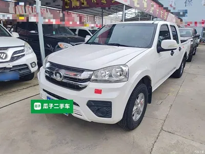 2023 Great Wall Fengjun 5 Rice Eating Edition 1.5T Gasoline 2WD Aspiring Long Cargo Box, фото 1, лот 11192631