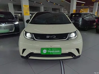 2024 BYD Dolphin Glory Edition 420km Fashion Edition, фото 3, лот 10264041