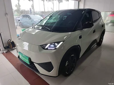 2025 BYD Seagull Smart Drive Edition 305km Freedom Version, фото 1, лот 11133267