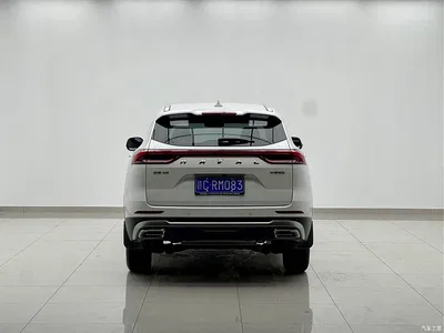 2021 Haval H6 National Trend Edition 1.5T Automatic Urban Edition, фото 3, лот 10283453