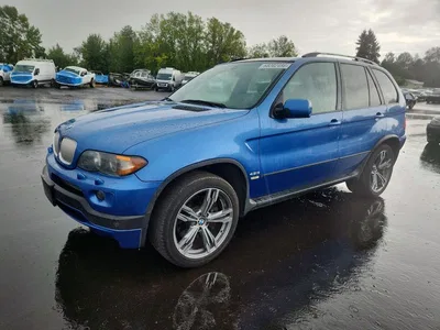 2004 BMW X5 4.8IS, фото 1, лот 10972162