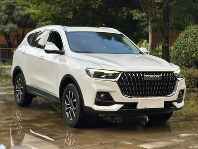 2023 Haval H6 National Trend Edition 1.5T Automatic Champion, фото 3, лот 10398227
