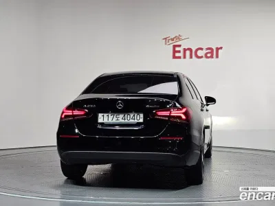 2020 Mercedes-Benz A-Class A250 4MATIC Sedan, фото 4, лот 10039778