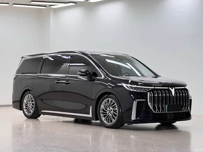 2024 Voyah Auto Voyah Dreamer PHEV Extended Range Flagship Edition, фото 3, лот 10358606
