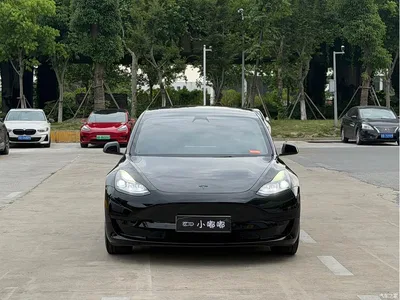 2022 Tesla Model 3 Model Rear-Wheel Drive Version, фото 2, лот 10357147
