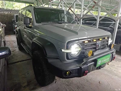 2023 Tank 300 Off-Road Edition 2.0T Conqueror, фото 4, лот 10345432