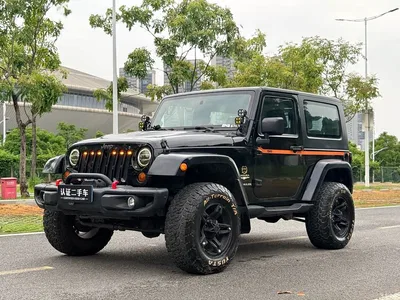 2009 Jeep Wrangler, фото 1, лот 10359911