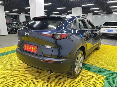 2022 Mazda CX-30 2.0L Automatic Excellence Joy Model, фото 4, лот 11243889