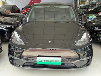 2021 Tesla Model Y Standard Range Rear-Wheel Drive, фото 2, лот 10405591