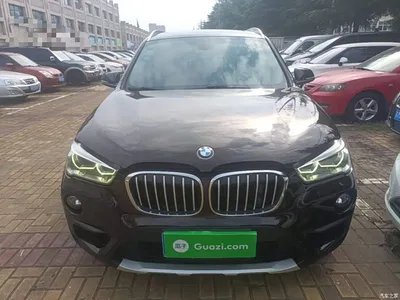 2018 BMW X1 sDrive20Li Leading Model, фото 3, лот 10467896