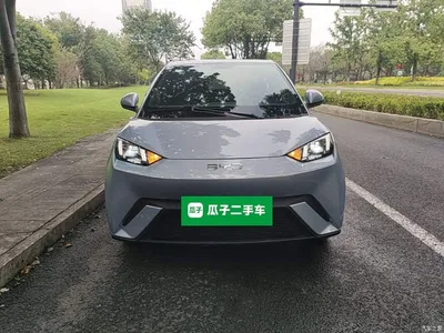 2024 BYD Seagull Glory Edition 305km Freedom Edition, фото 3, лот 11195441