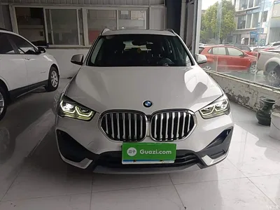 2020 BMW X1 sDrive25Li Leading Model, фото 3, лот 11073647