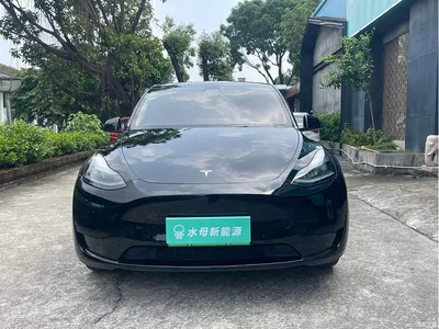2024 Tesla Model Y Rear-Wheel Drive Version, фото 2, лот 11081256