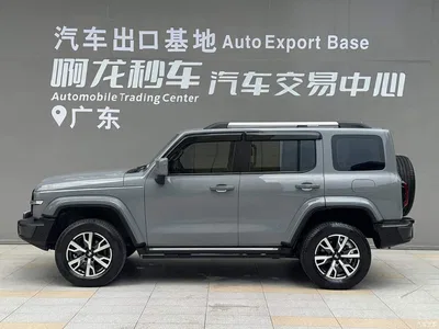 2023 Tank 300 Urban Edition 2.0T Very Stylish, фото 3, лот 10344029