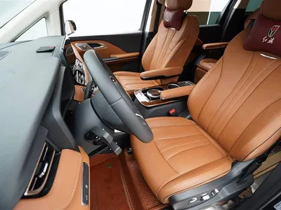 2023 Hongqi HQ9 2.0T Smart Connect Flag Smooth Edition, фото 4, лот 10287487