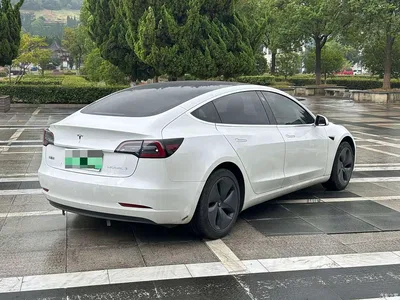 2020 Tesla Model 3 Standard Range Rear-Wheel Drive Upgrade, фото 3, лот 10452192
