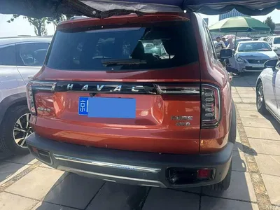 2021 Haval Big Dog 2.0T DCT 4WD Chinese Rural Dog Edition, фото 2, лот 11195570