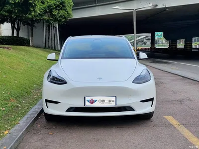 2023 Tesla Model Y Rear-Wheel Drive Edition, фото 2, лот 10450143
