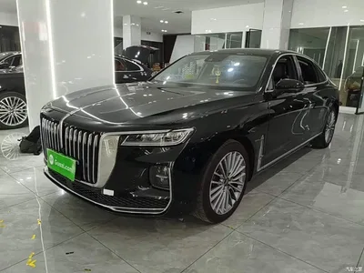 2020 Hongqi H9 2.0T Smart Connection Qi Chang Edition, фото 2, лот 11205221