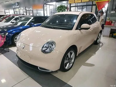 2022 Ora Good Cat Model Morandi Edition 400km Standard Range Premium NCM, фото 2, лот 10330507