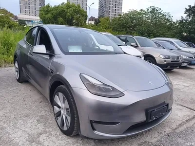2021 Tesla Model Y Model Long Range AWD, фото 4, лот 10688904