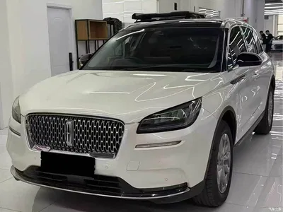 2020 Lincoln Adventurer 2.0T 2WD Premium Elegance Edition, фото 3, лот 10357577