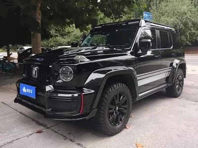 2021 Tank 300 Urban Edition 2.0T Stylish, фото 1, лот 11253658