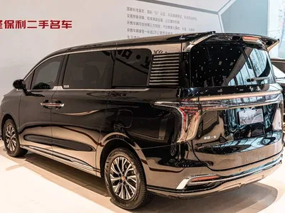 2024 Hongqi HQ9 PHEV Model 2.0T AWD Business Edition, фото 3, лот 10287468