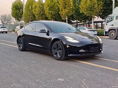 2022 Tesla Model 3 Model Rear-Wheel Drive Version, фото 3, лот 11584787