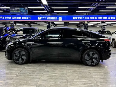 2024 Ledao L60 60kWh Rear-Wheel Drive, фото 4, лот 10826657