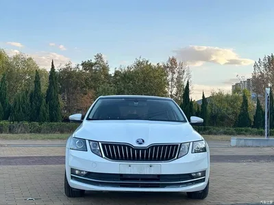 2019 Škoda Octavia TSI230 DSG Zhixing Luxury Edition China VI, фото 2, лот 11547849