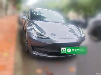 2020 Tesla Model 3 Standard Range Rear-Wheel Drive Upgrade, фото 2, лот 11570233