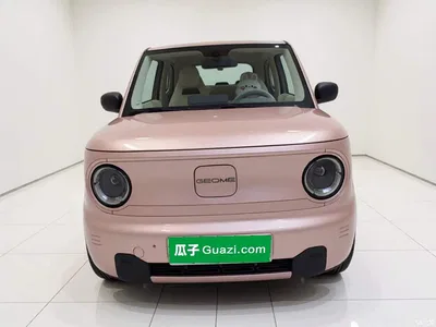 2023 Geely Galaxy Panda Mini 200km Endurance Bear, фото 2, лот 11202027
