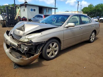 2006 LEXUS ES 330, фото 1, лот 10846951