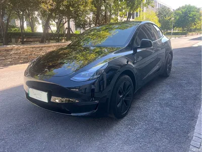 2023 Tesla Model Y Long Range All-Wheel Drive Edition, фото 1, лот 10452110