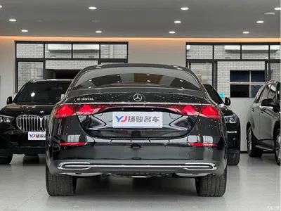 2026 Mercedes-Benz E-Class E 300 L Luxury, фото 4, лот 11067404