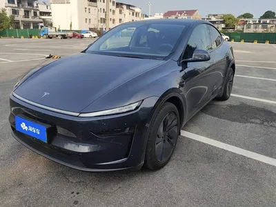 2025 Tesla Model Y Model Rear-Wheel Drive Launch Edition, фото 1, лот 10842646