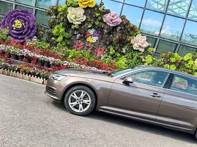 2018 Audi A4L 30th Anniversary 40 TFSI Progressive, фото 4, лот 10233407
