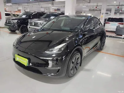 2023 Tesla Model Y Long Range All-Wheel Drive Edition, фото 2, лот 10593085
