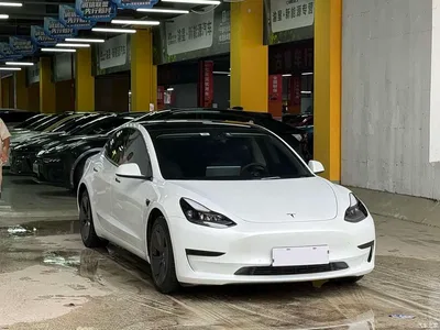 2021 Tesla Model 3 Standard Range Rear-Wheel Drive Upgrade, фото 3, лот 10361907