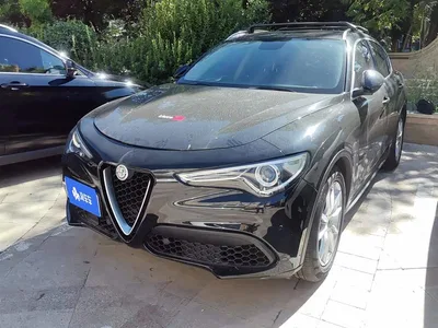 2017 Alfa Romeo Stelvio 2.0T 280HP Luxury, фото 1, лот 10239823