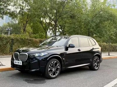2026 BMW X5 Facelift xDrive 40Li M Sport Shadowline Package, фото 1, лот 11132619