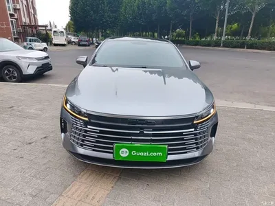 2023 BYD Destroyer 05 Champion Edition DM-i 55KM Luxury, фото 3, лот 10267884