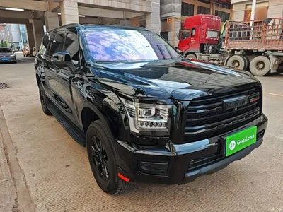 2025 Haval H5 2.0T Auto 4WD Elite Edition (Diesel), фото 4, лот 10283877