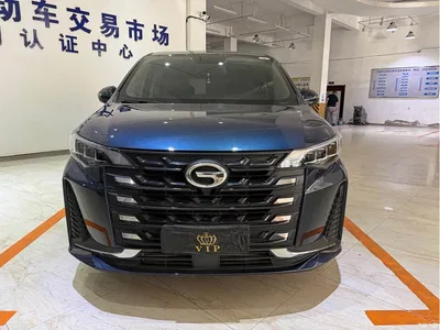 2021 GAC Trumpchi Trumpchi M6 PRO 270T DCT Luxury Edition, фото 2, лот 10416536