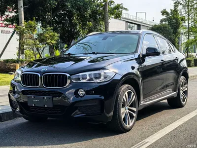 2018 BMW X6 xDrive35i Leading Model, фото 1, лот 10440166
